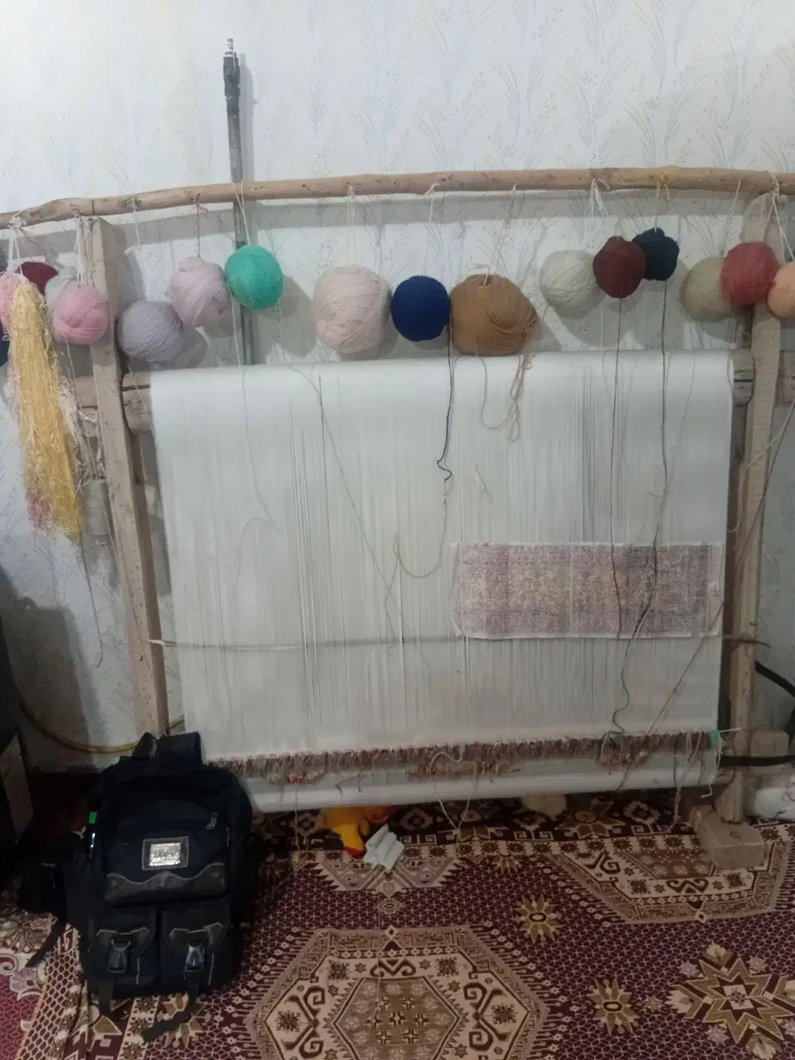 قالی زرنیم|فرش|کشکسرای, |دیوار