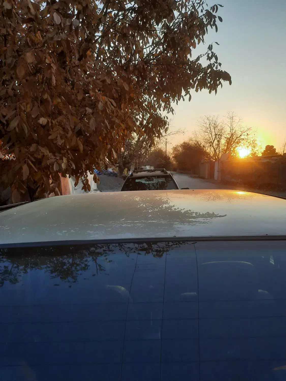 پژوپارس پرشیابدون آفتاب سوختگی شاسی پلمپ|خودرو سواری و وانت|نیشابور, طالقانی|دیوار