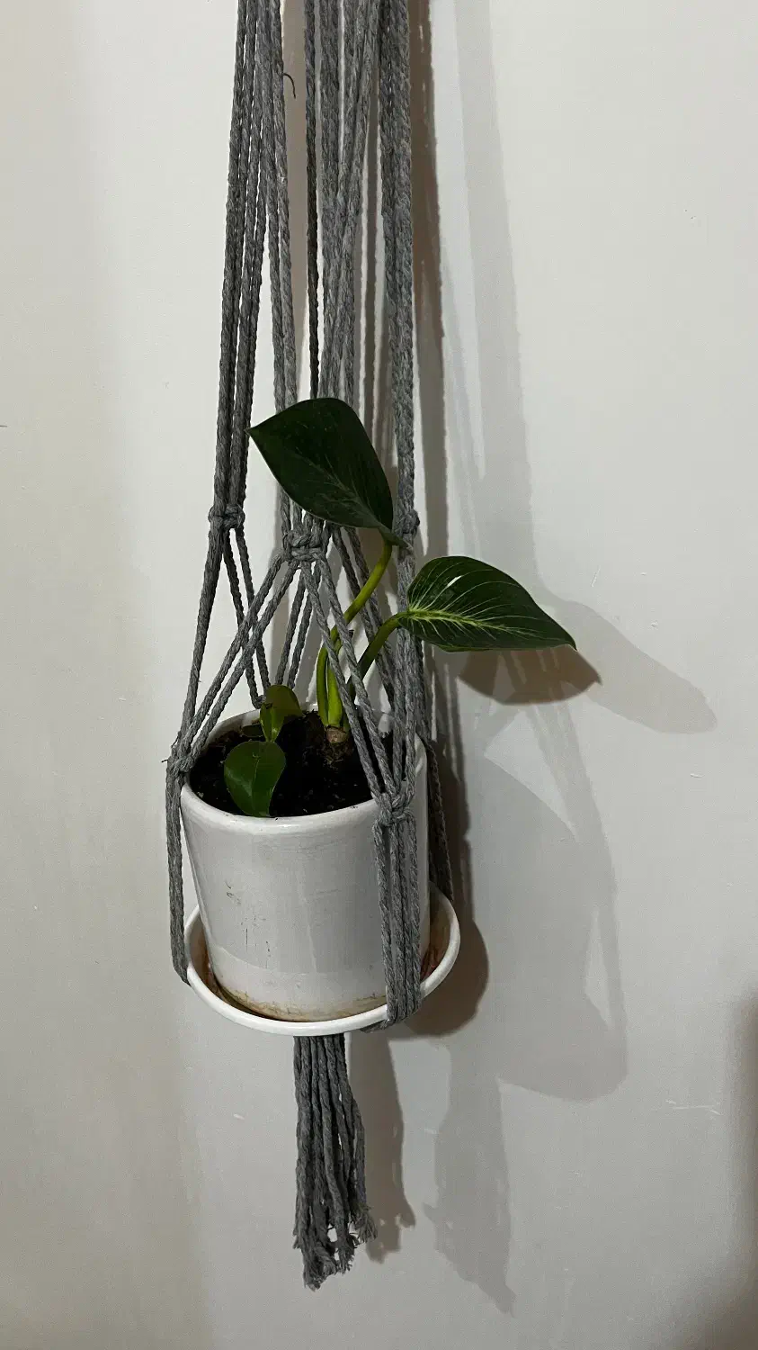 فروش آویز گلدان مکرومه دست بافت|صنایع دستی و سایر لوازم تزئینی|اهواز, پادادشهر|دیوار