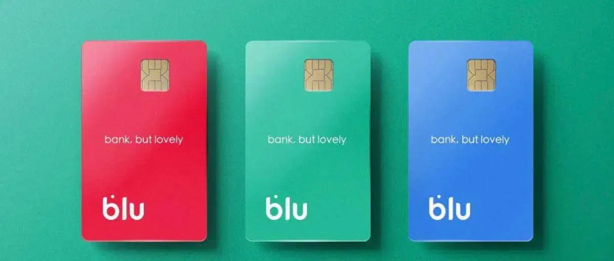 بلو بانک وام|کارت هدیه و تخفیف|رشت, کاکتوس|دیوار