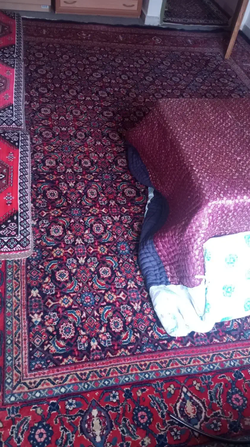 فرش دستباف|فرش|سنندج, |دیوار