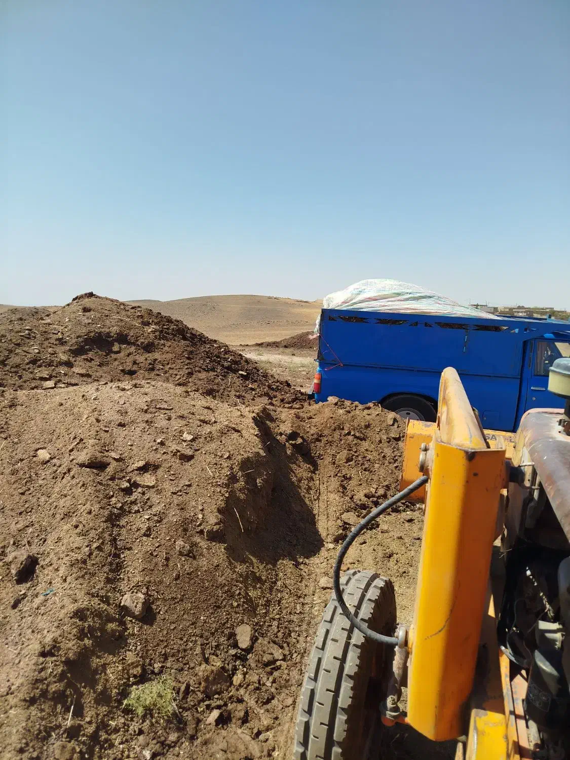 کودحیوانی گوسفندی وگاوی|خدمات باغبانی و درختکاری|مهاباد (آذربایجان غربی), |دیوار