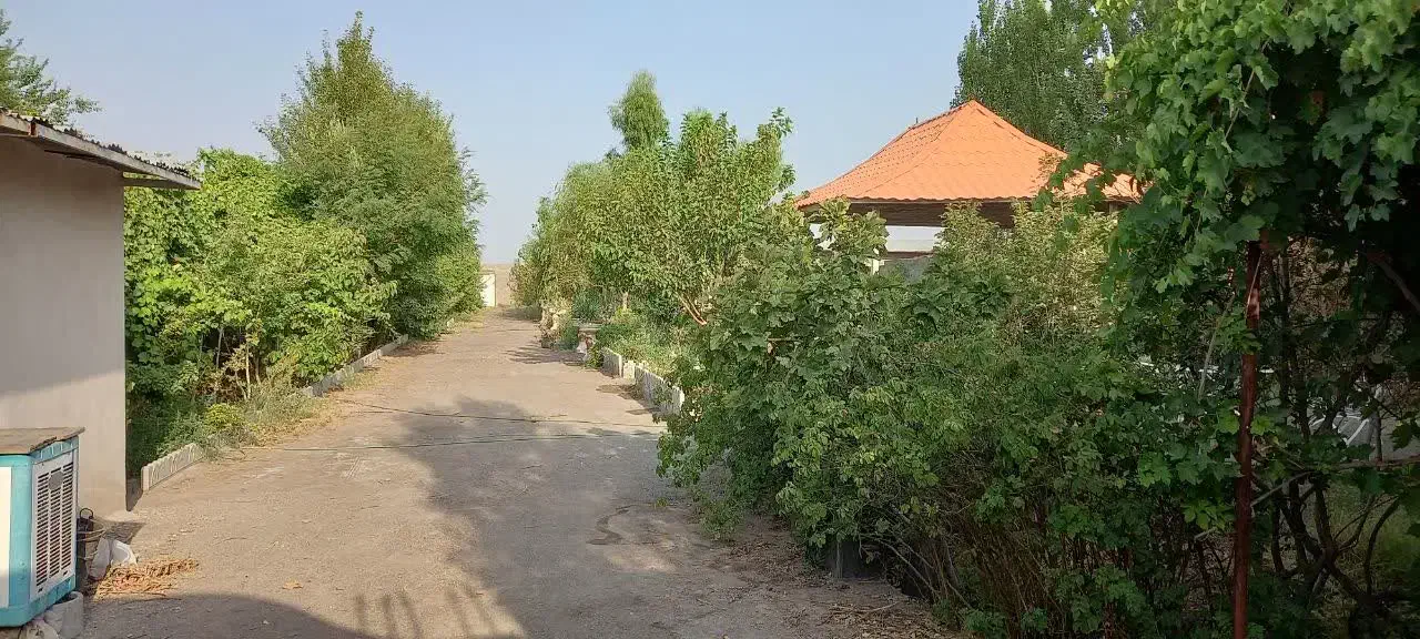 اجاره روزانه باغ ویلا ۱۷۰۰ متری|اجارهٔ کوتاهمدت ویلا و باغ|رفسنجان, |دیوار