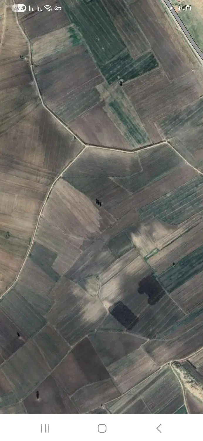 ۲ هکتار زمین کشاورزی آبی|فروش دفتر صنعتی، کشاورزی، تجاری|سرپل ذهاب, |دیوار