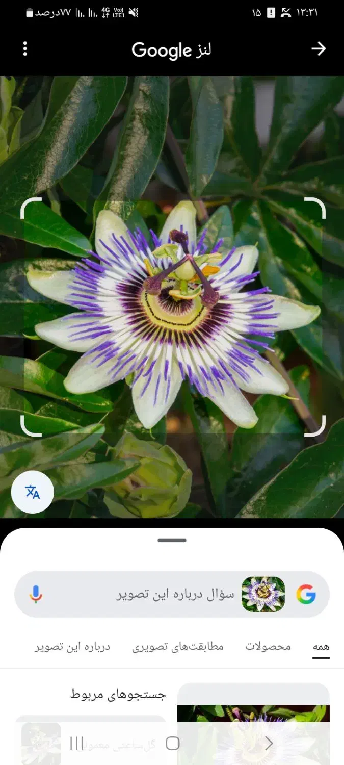 مشاوره|فعالیت داوطلبانه|بهبهان, |دیوار