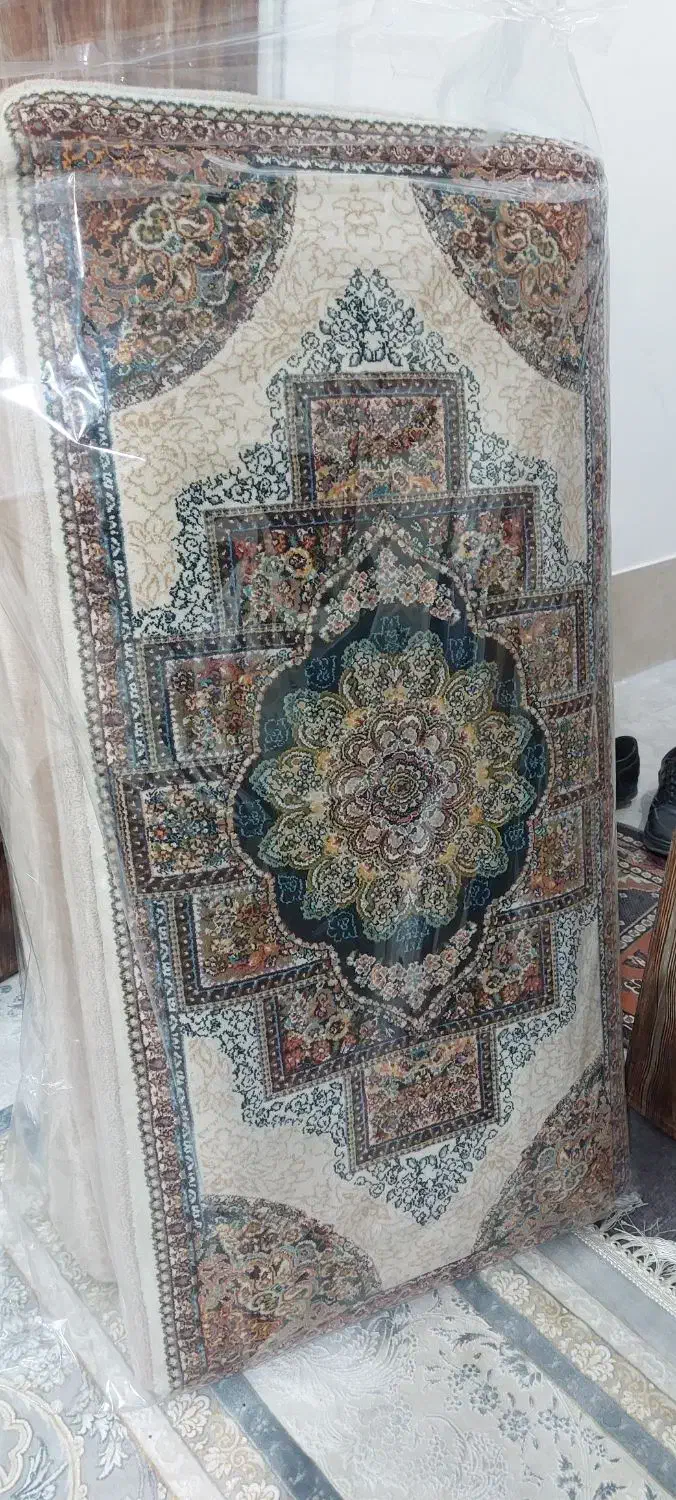 ۴ عدد پشتی|پشتی|شیراز, شهرک سعدی|دیوار