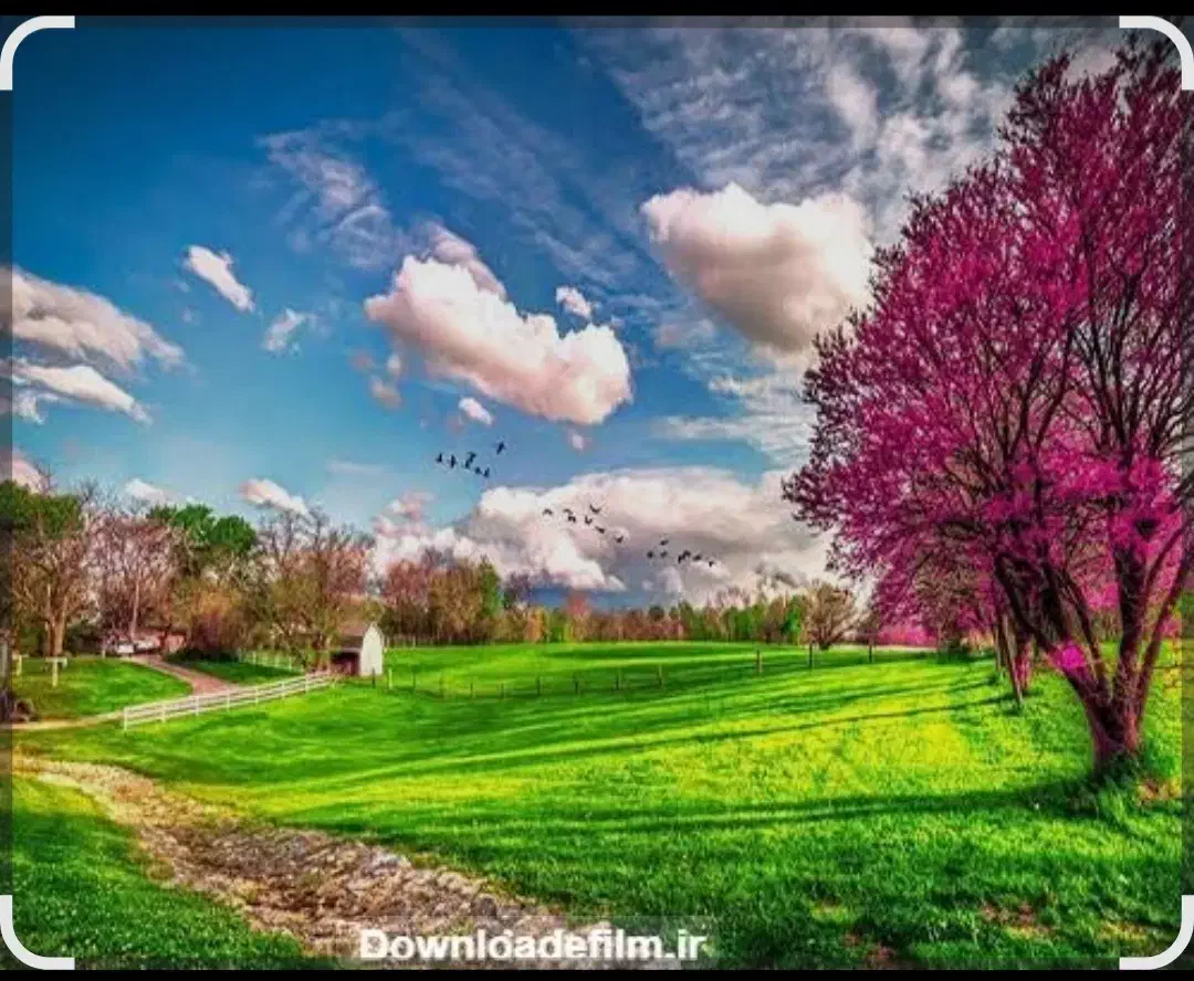 راهنمایی سفر به مشهد|فعالیت داوطلبانه|قم, شهدا|دیوار