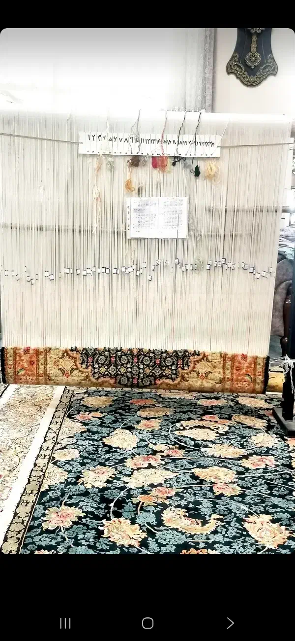 دار قالی|فرش|یاسوج, |دیوار