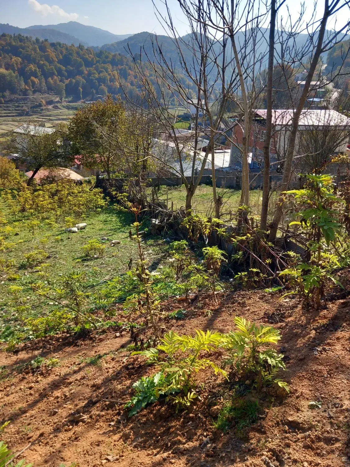 ملک سند دار|فروش زمین و ملک کلنگی|زیرآب, |دیوار