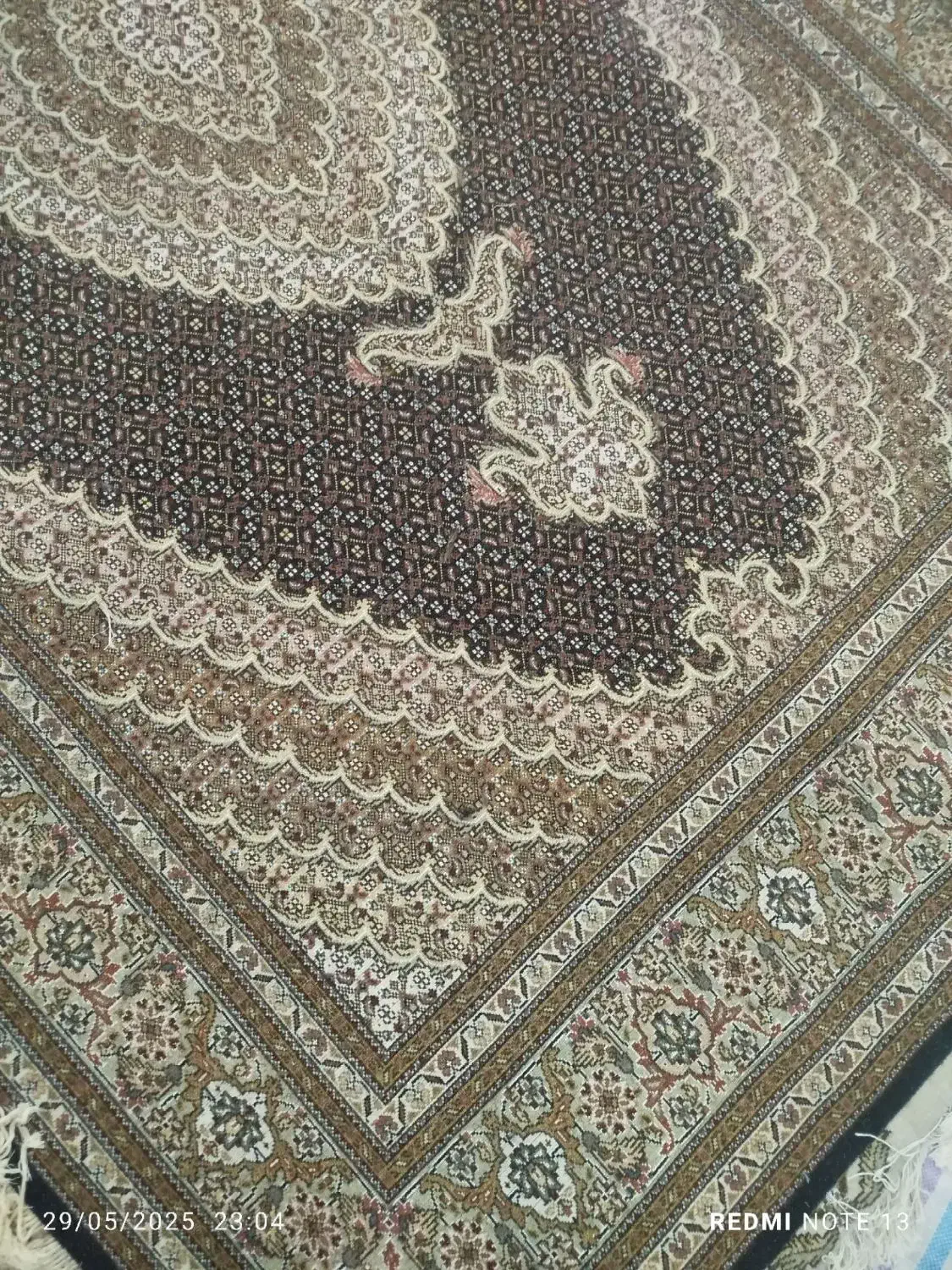 جفت ۶متری رج چهل بافنده ام اس نمیتونم بزنگ|فرش|سرعین, |دیوار