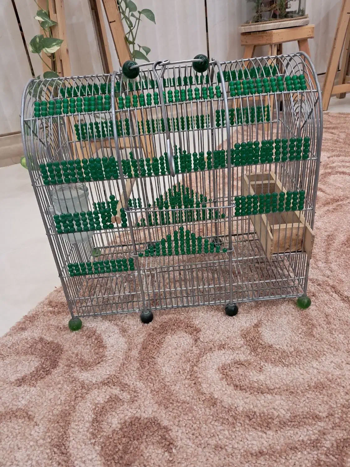 قفس سهره دست ساز مهره سبز|لوازم جانبی حیوانات|مرودشت, ثبت احوال|دیوار