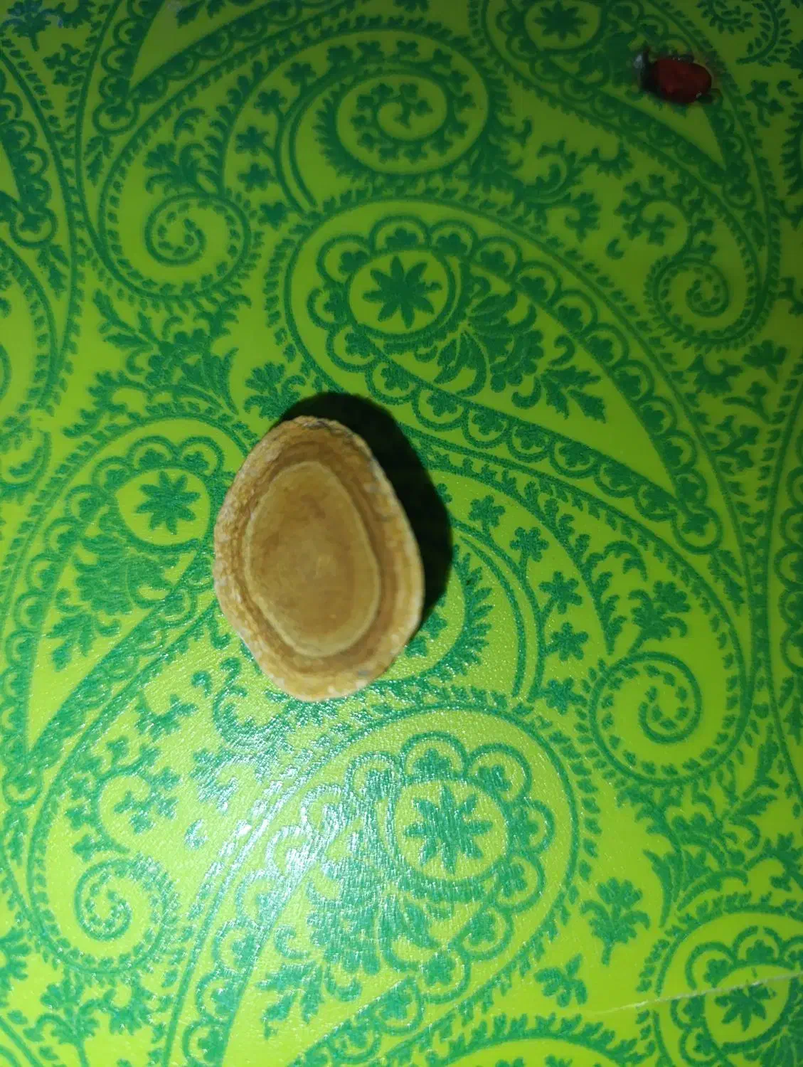 سنگ قیمتی|کلکسیون اشیاء عتیقه|هندیجان, |دیوار