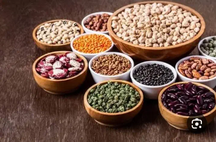 خریدگندم جو سیاه دانه گاودانه ذرت دامی نخود سیاه|خدمات باغبانی و درختکاری|اردبیل, |دیوار