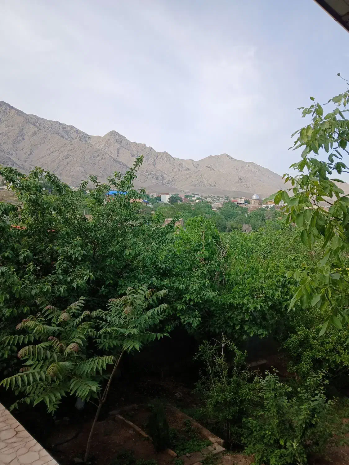 باغچه روستای جارو قابل تهاتر|فروش خانه و ویلا|پلنگ آباد, |دیوار