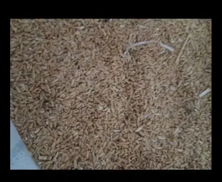 گندمدیم|لوازم جانبی حیوانات|سلماس, |دیوار