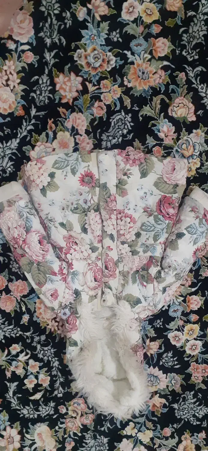 کاپشن دخترانه|لباس|اشتهارد, |دیوار