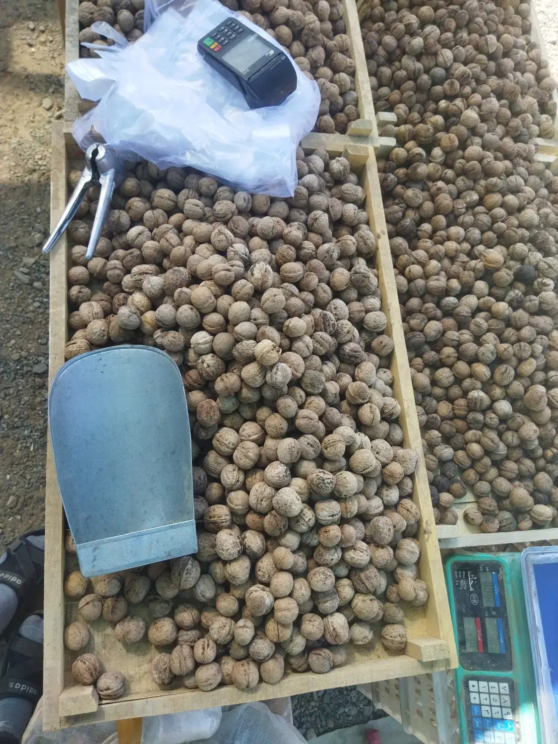 گردو|خوردنی و آشامیدنی|کوهسرخ, |دیوار