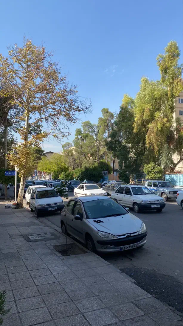 زمین بر خیابان معدل شرقی|فروش زمین و ملک کلنگی|شیراز, سینما سعدی|دیوار