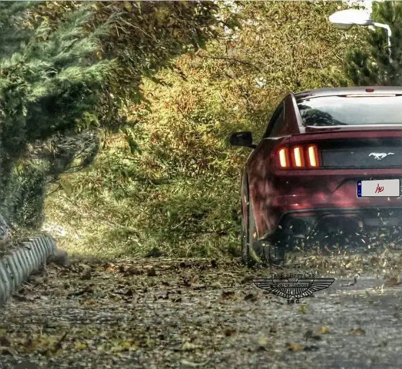 فورد موستانگ اکوبوست ۲۰۱۵ یاقوتی پلاک ارس|خودرو سواری و وانت|تبریز, |دیوار