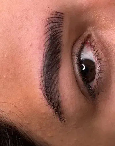 مدل میکرو ابرو|خدمات آرایشگری و زیبایی|بیرجند, |دیوار