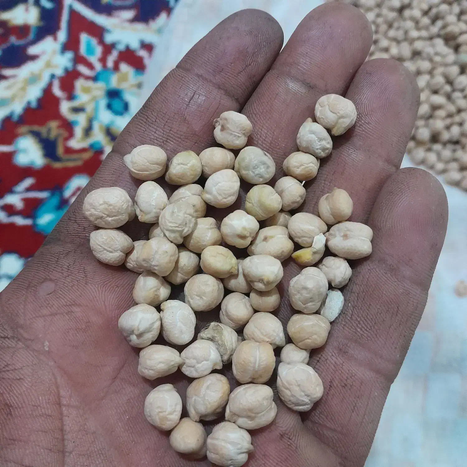 فروش‌نخود‌ابگوشتی|خوردنی و آشامیدنی|مینودشت, |دیوار