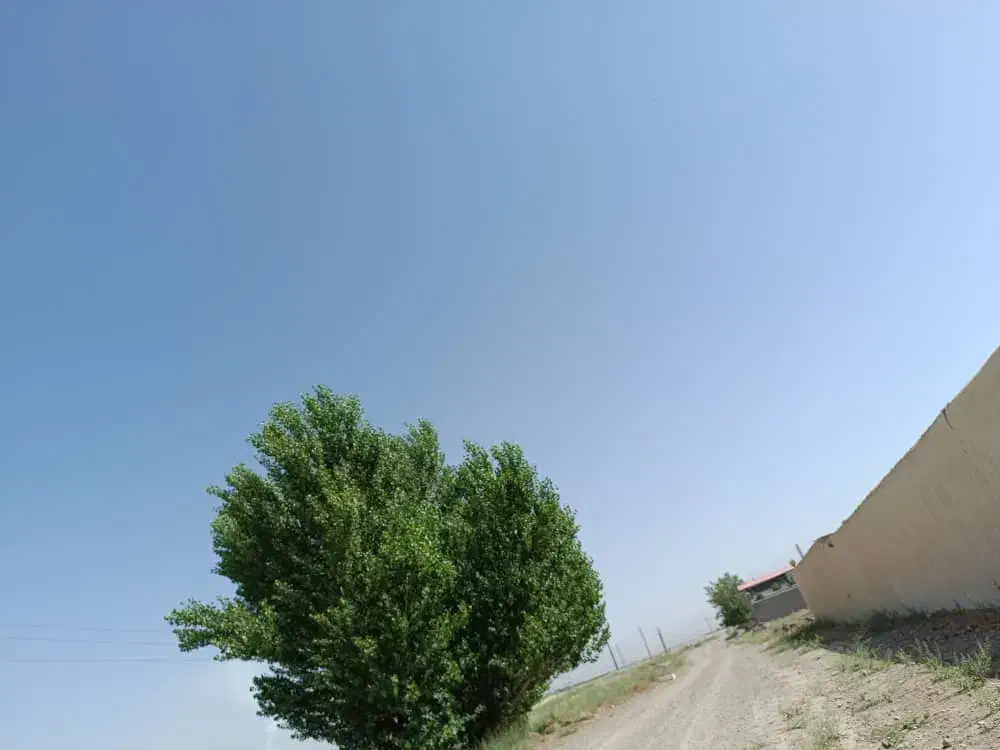 زمین بهترین نقطه کردان|فروش زمین و ملک کلنگی|هشتگرد, طاووسیه|دیوار