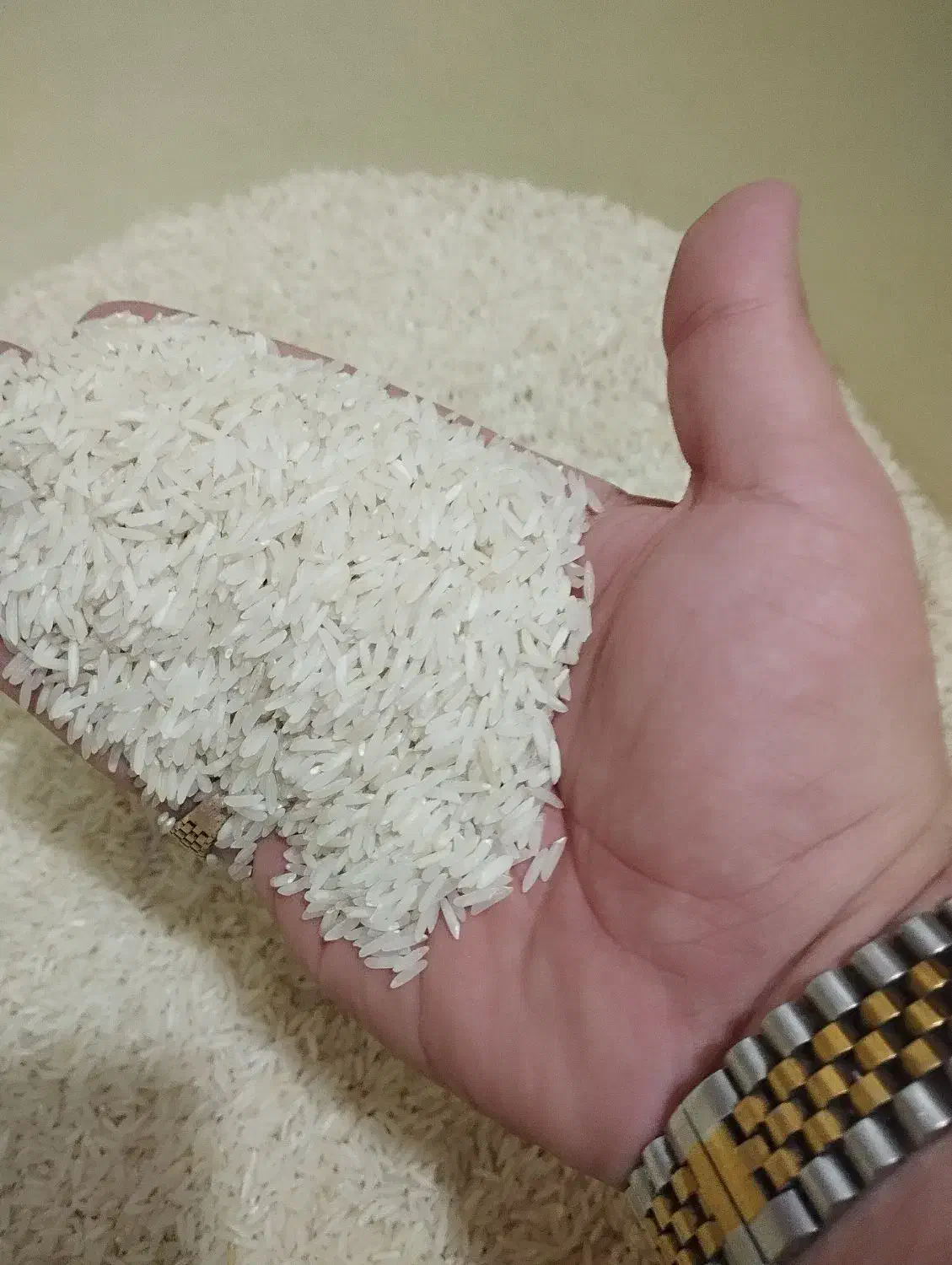 برنج فجر سوزنی|خوردنی و آشامیدنی|رشت, معلولین|دیوار