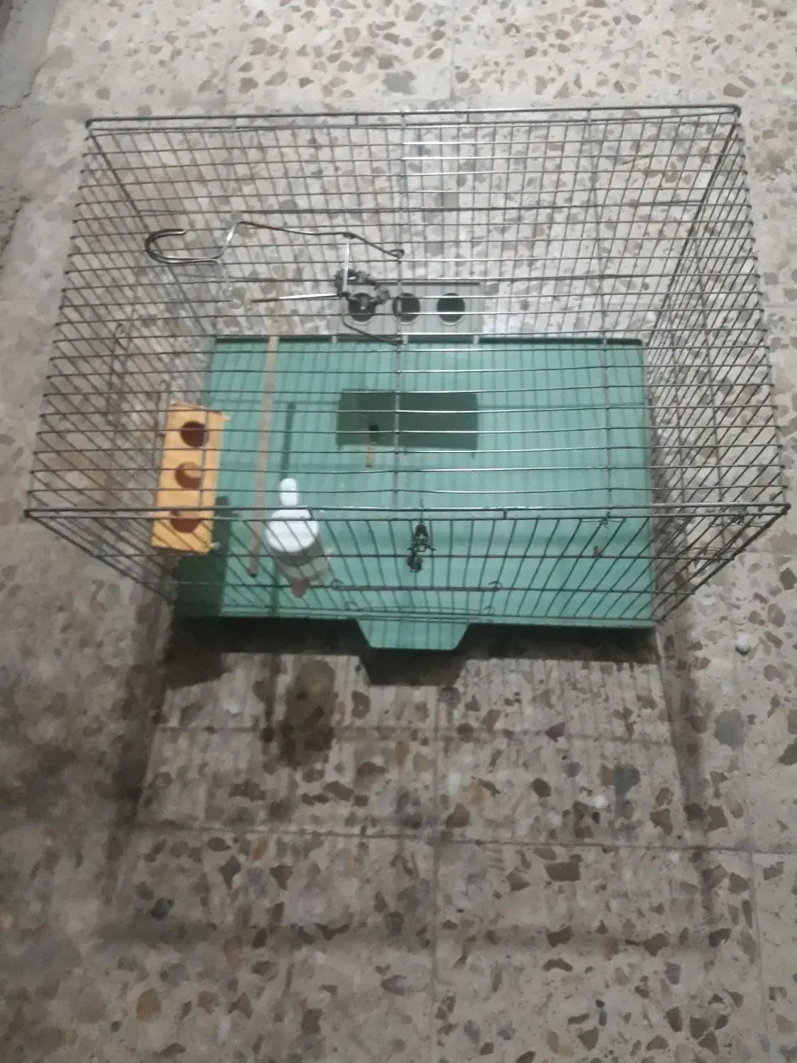 قفس پرنده|لوازم جانبی حیوانات|کرمانشاه, |دیوار