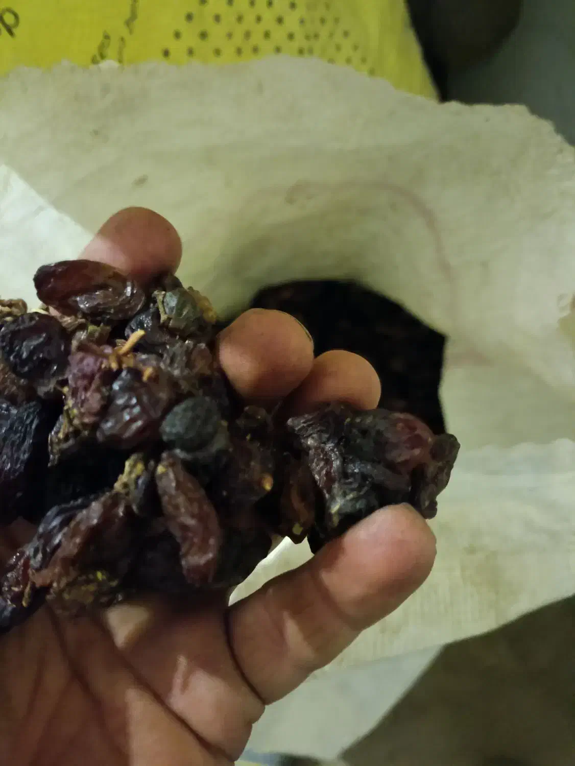 کشمش|خوردنی و آشامیدنی|ساوه, |دیوار