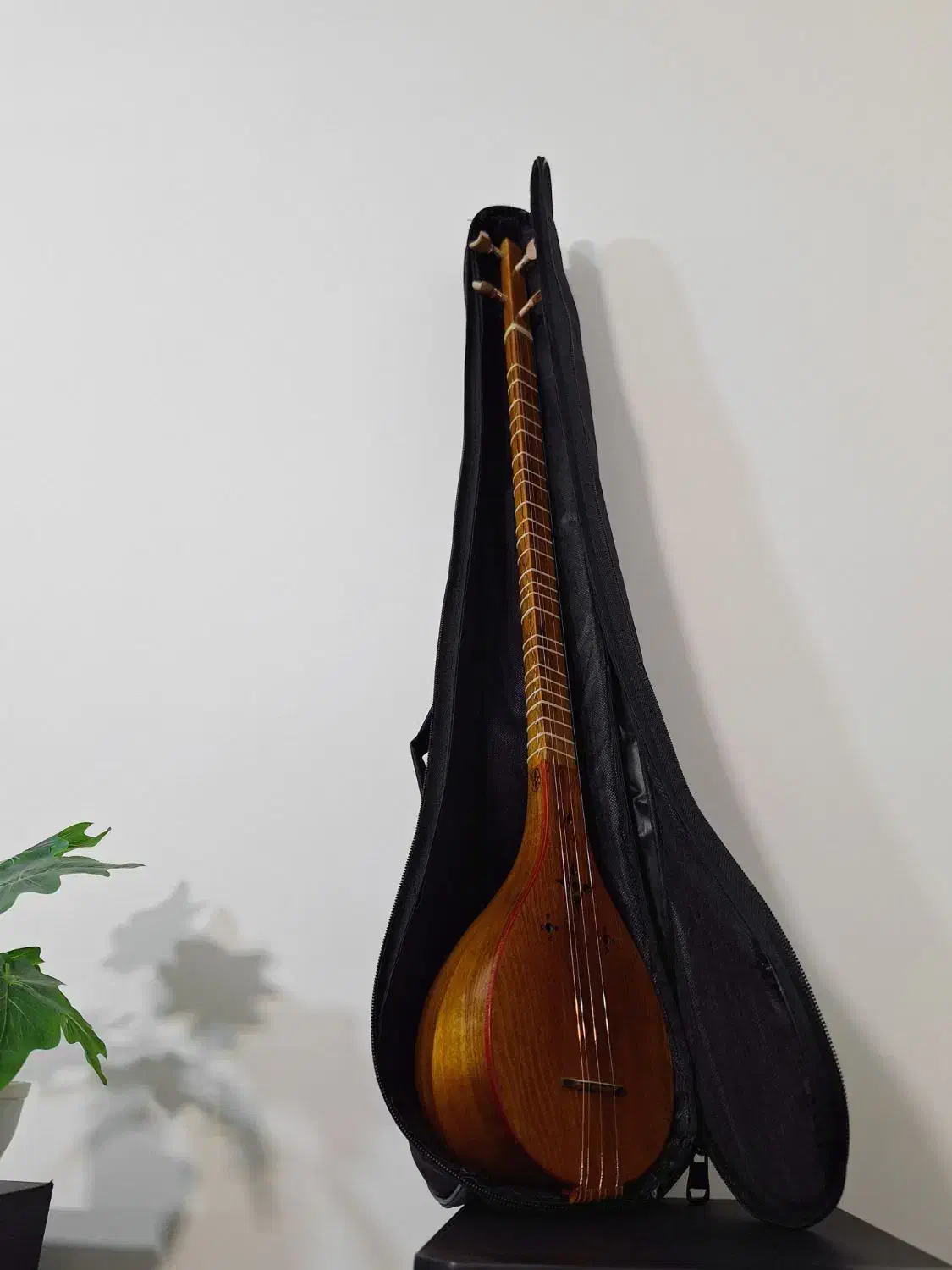 سه تار به همراه سافت کیس|سازهای سنتی|تهران, ائمه اطهار|دیوار