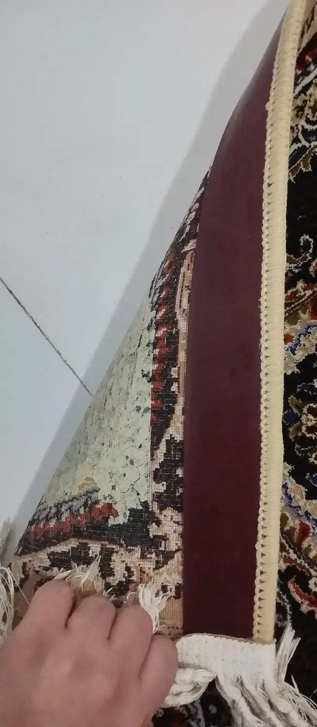 فرش ماشینی ۶متری|فرش|کرمانشاه, |دیوار