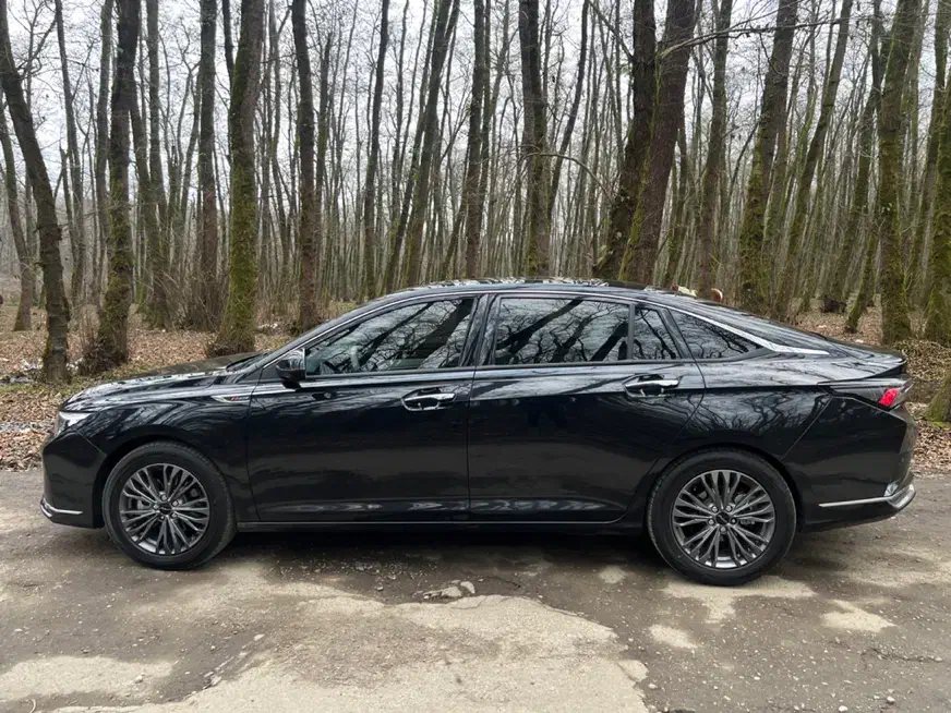 شاین مکس دانگ فانگ|خودرو سواری و وانت|رباطکریم, رباطکریم|دیوار