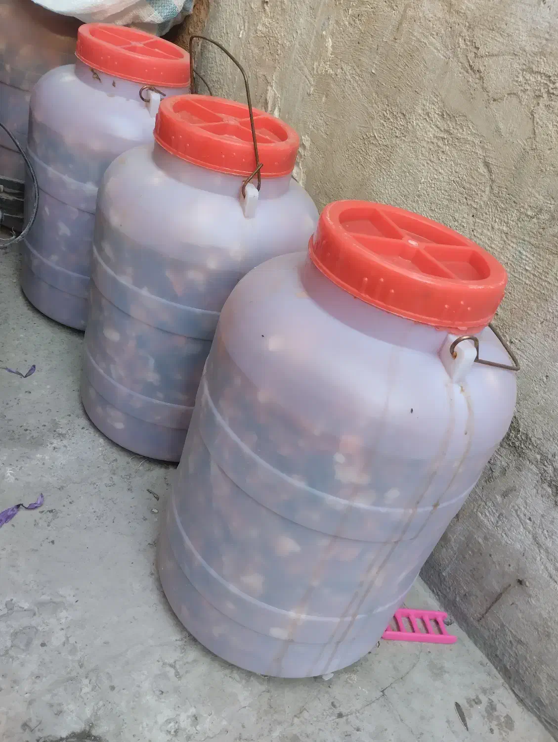 ترشی خانگی ترکیبی، کیلویی ۷۰ هزار تومان|خوردنی و آشامیدنی|مشهد, شهید شهریاری|دیوار