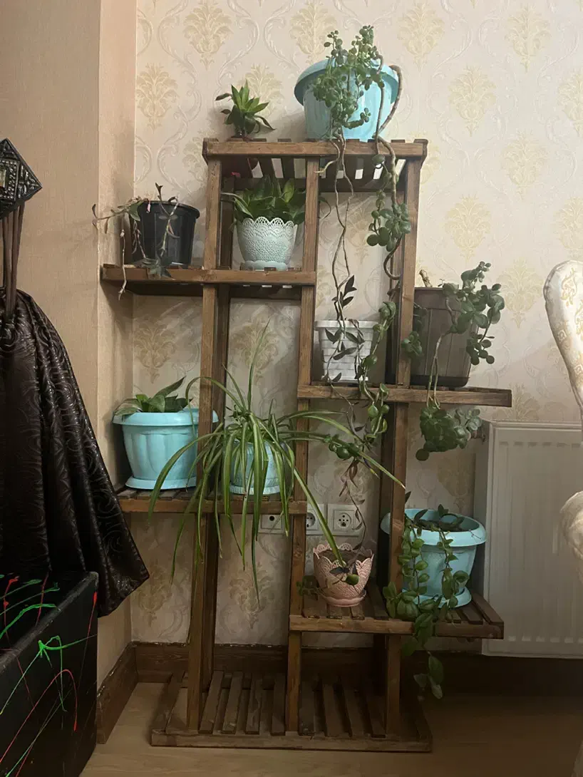 قفسه (شلف) گلدان چوبی|کتابخانه، شلف، قفسه‌های دیواری|تبریز, |دیوار