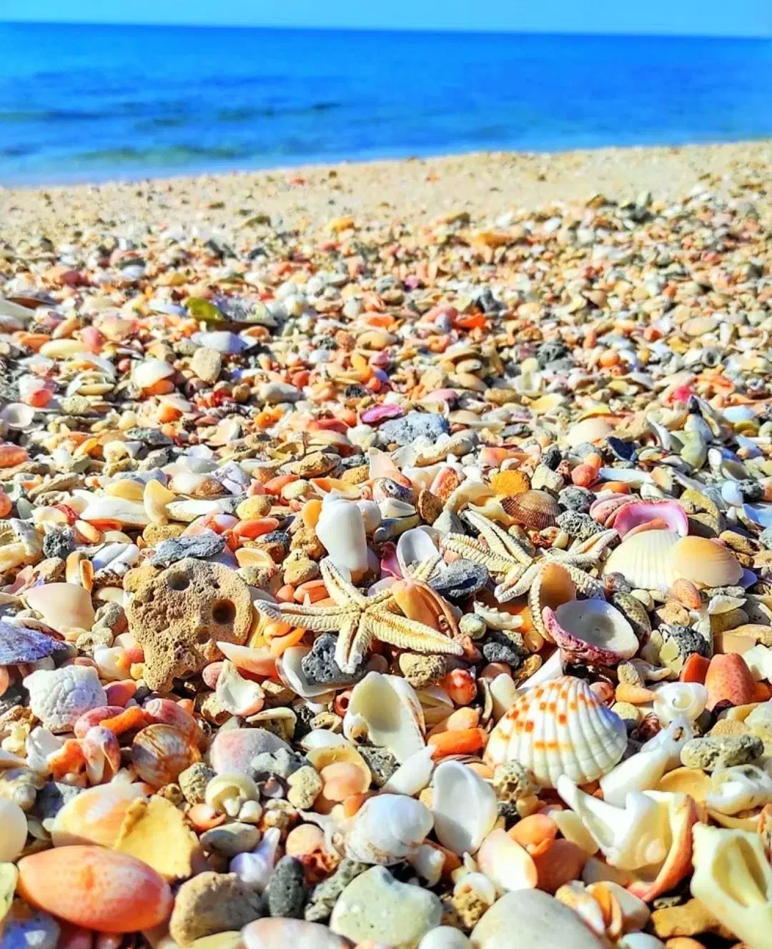 تور جزیره زیبای قشم اقساطی|تور و چارتر|قم, بلوار امین و ساحلی|دیوار