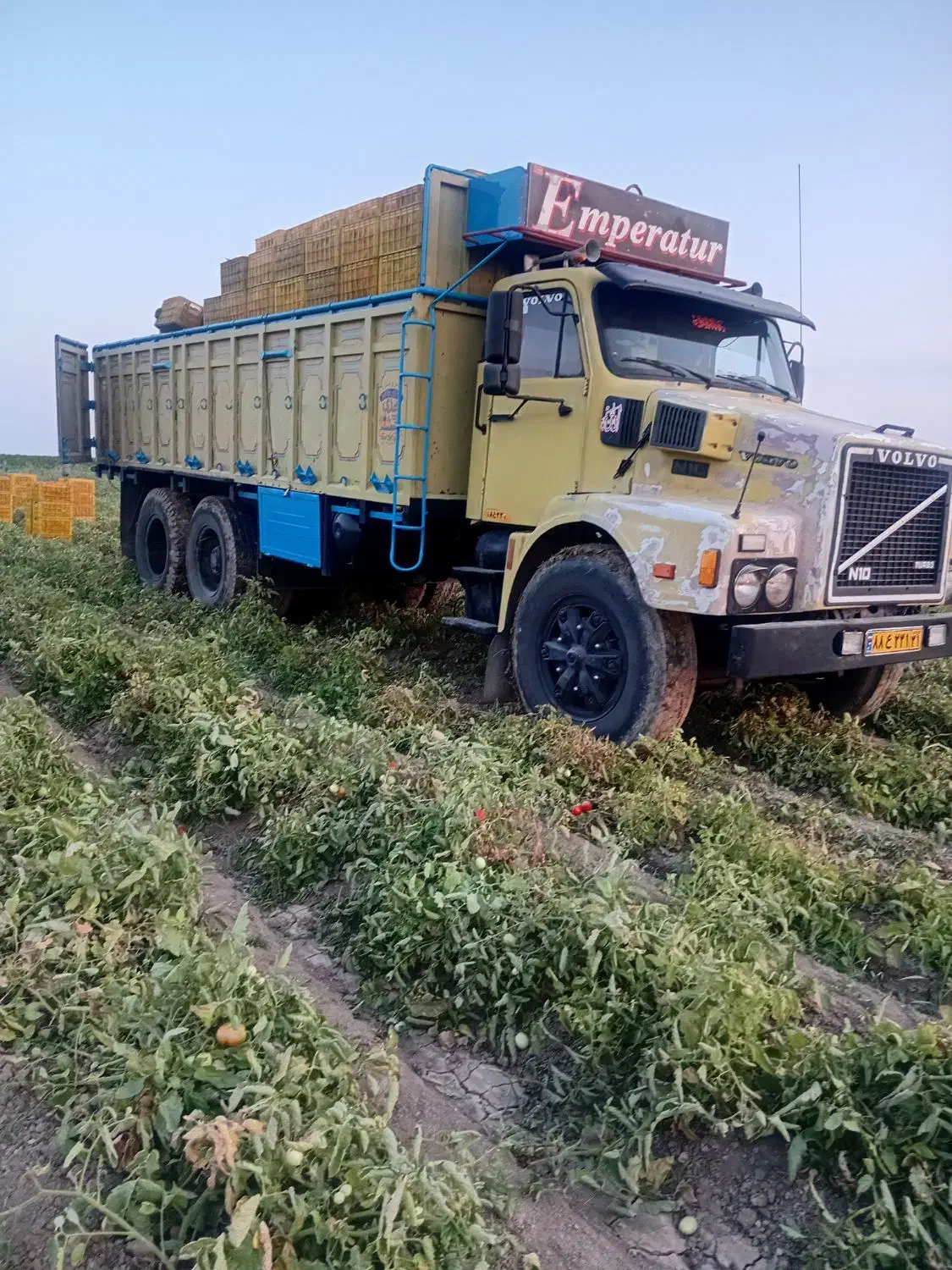 ولوو باری مدل۶۶|خودرو سنگین|اردبیل, |دیوار