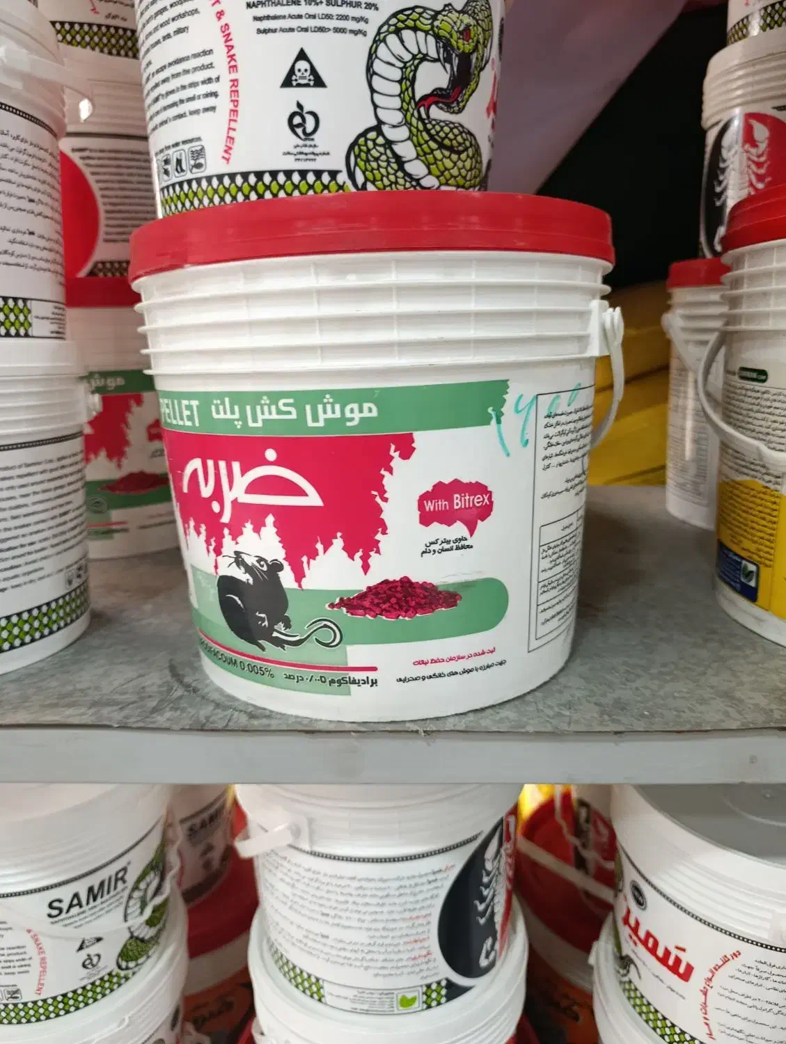 سم پاشی طعمه گذاری موش|خدمات باغبانی و درختکاری|بوشهر, |دیوار