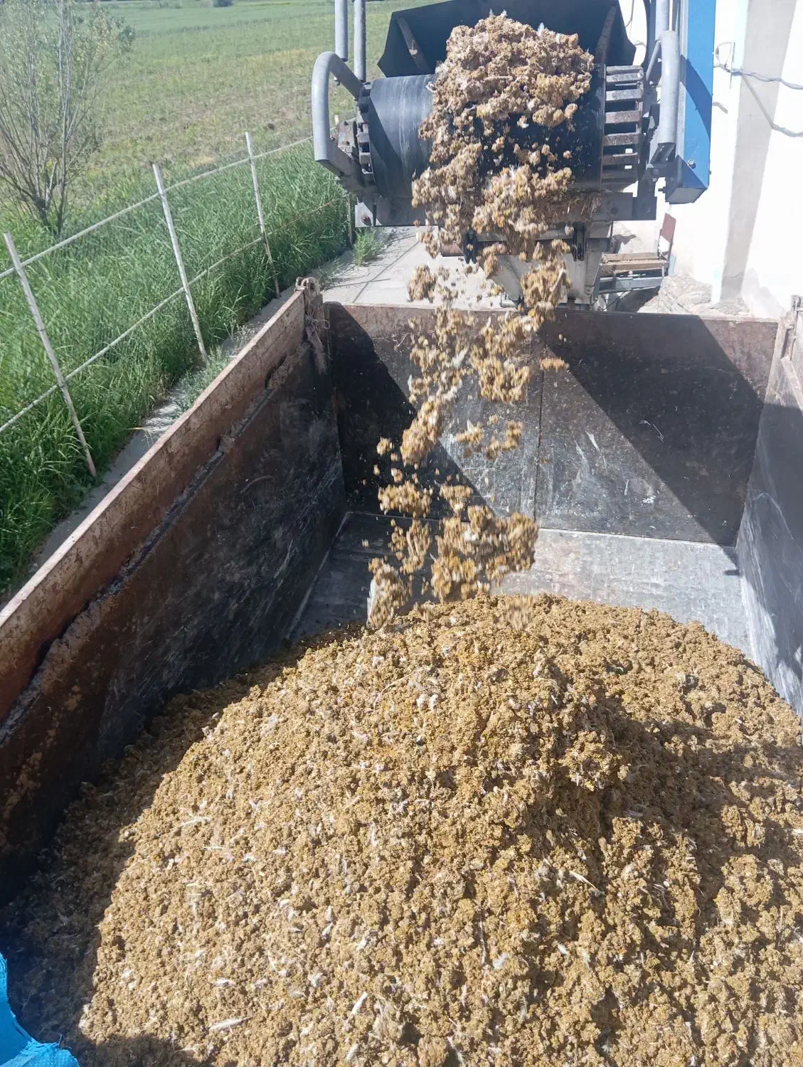 فروش کود مرغی|گل و گیاه طبیعی|الشتر, |دیوار