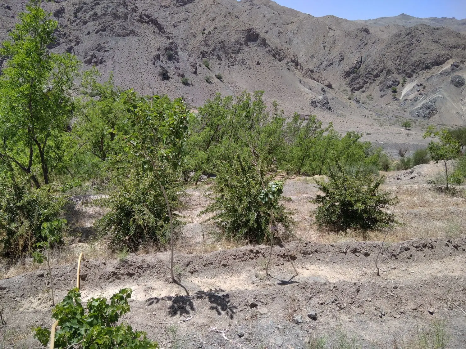 تصویر 12