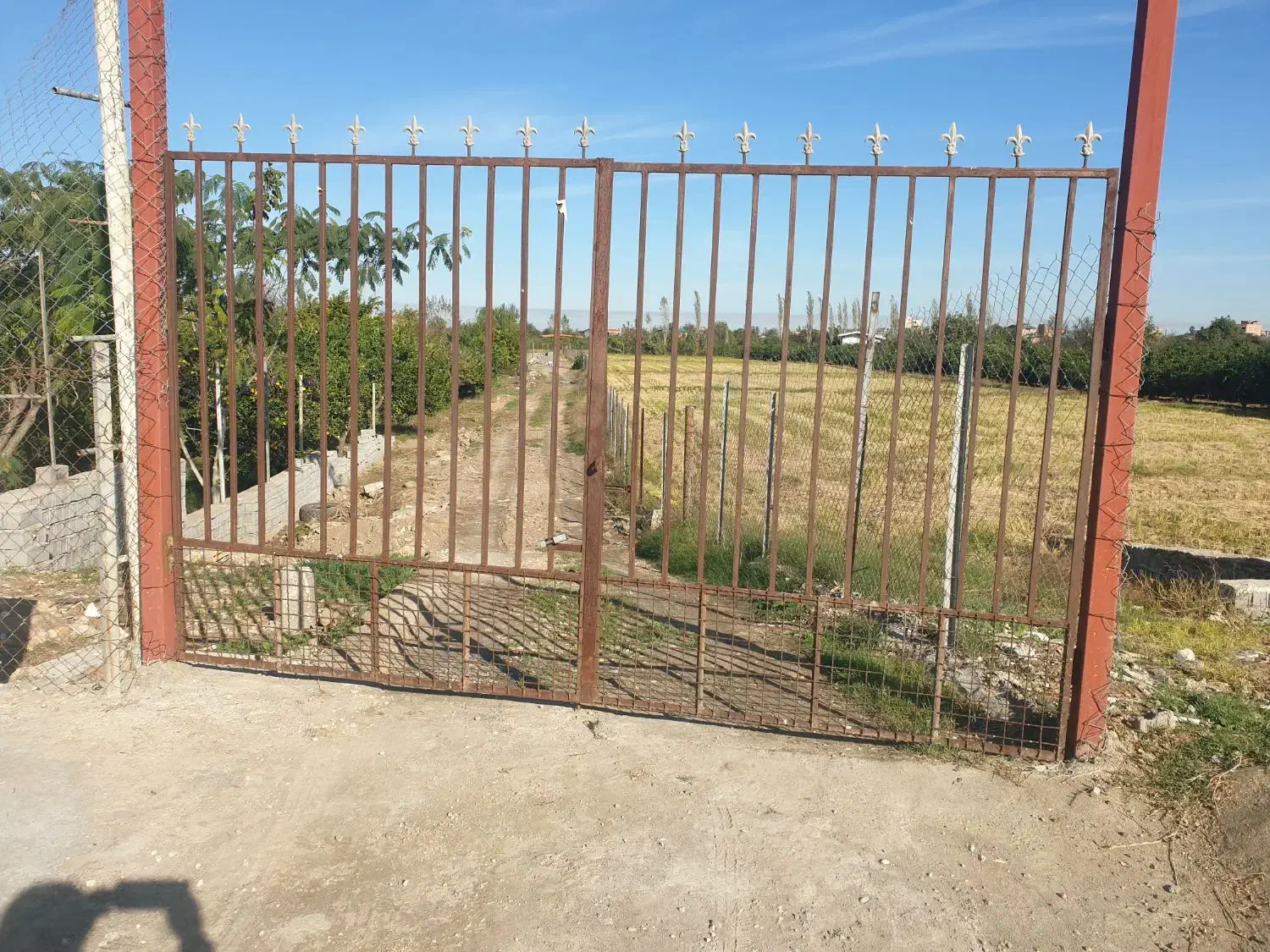 فروش زمین با مجوز گلخانه|فروش زمین و ملک کلنگی|ساری, |دیوار