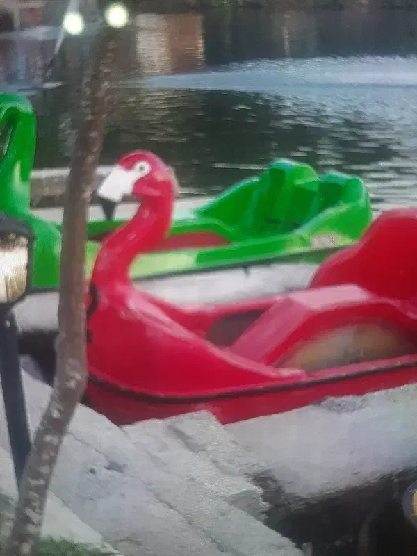 قایق پدالی|قایق و سایر وسایل نقلیه|اسالم, |دیوار