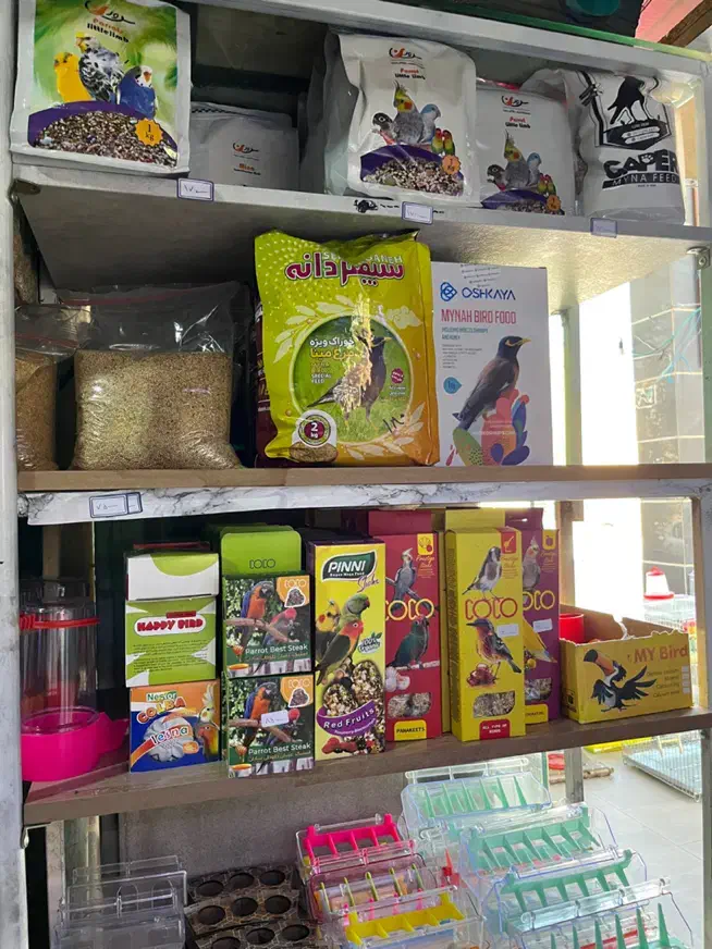 هرچی که برای حیون خونگیت بخوای تو فروشگاه ما هست|لوازم جانبی حیوانات|شیراز, شهرک گلستان|دیوار