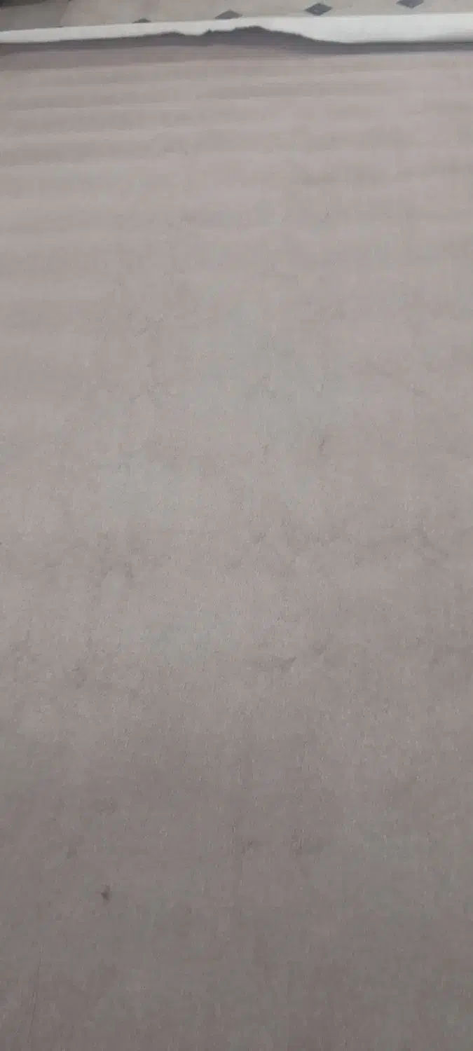 موکت ظریف|موکت|همدان, |دیوار