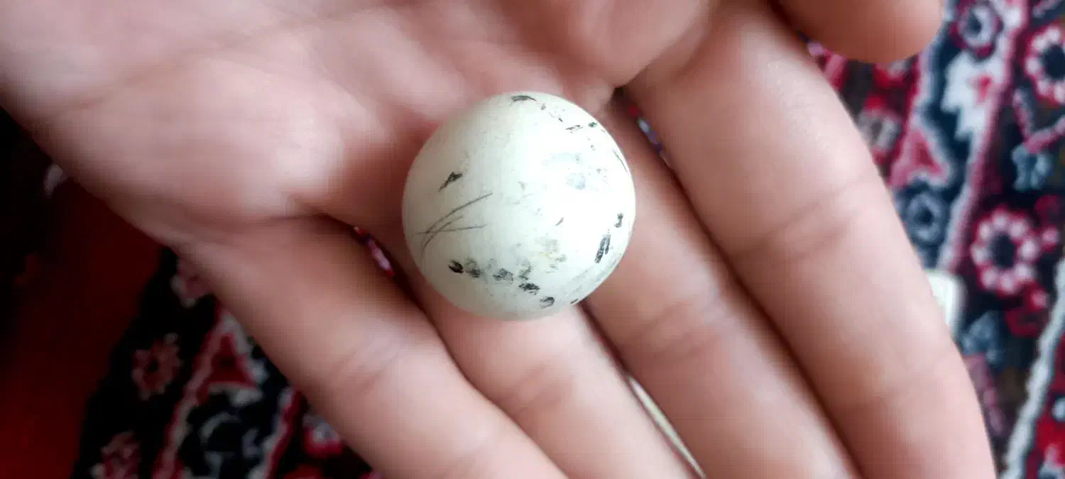 سنگ|کلکسیون اشیاء عتیقه|سنندج, |دیوار