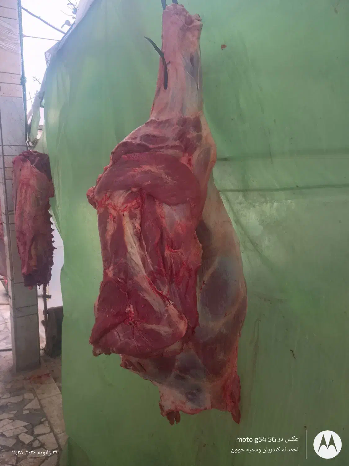 گوشت گوساله کیلو یک تومن|خوردنی و آشامیدنی|بندر ترکمن, |دیوار