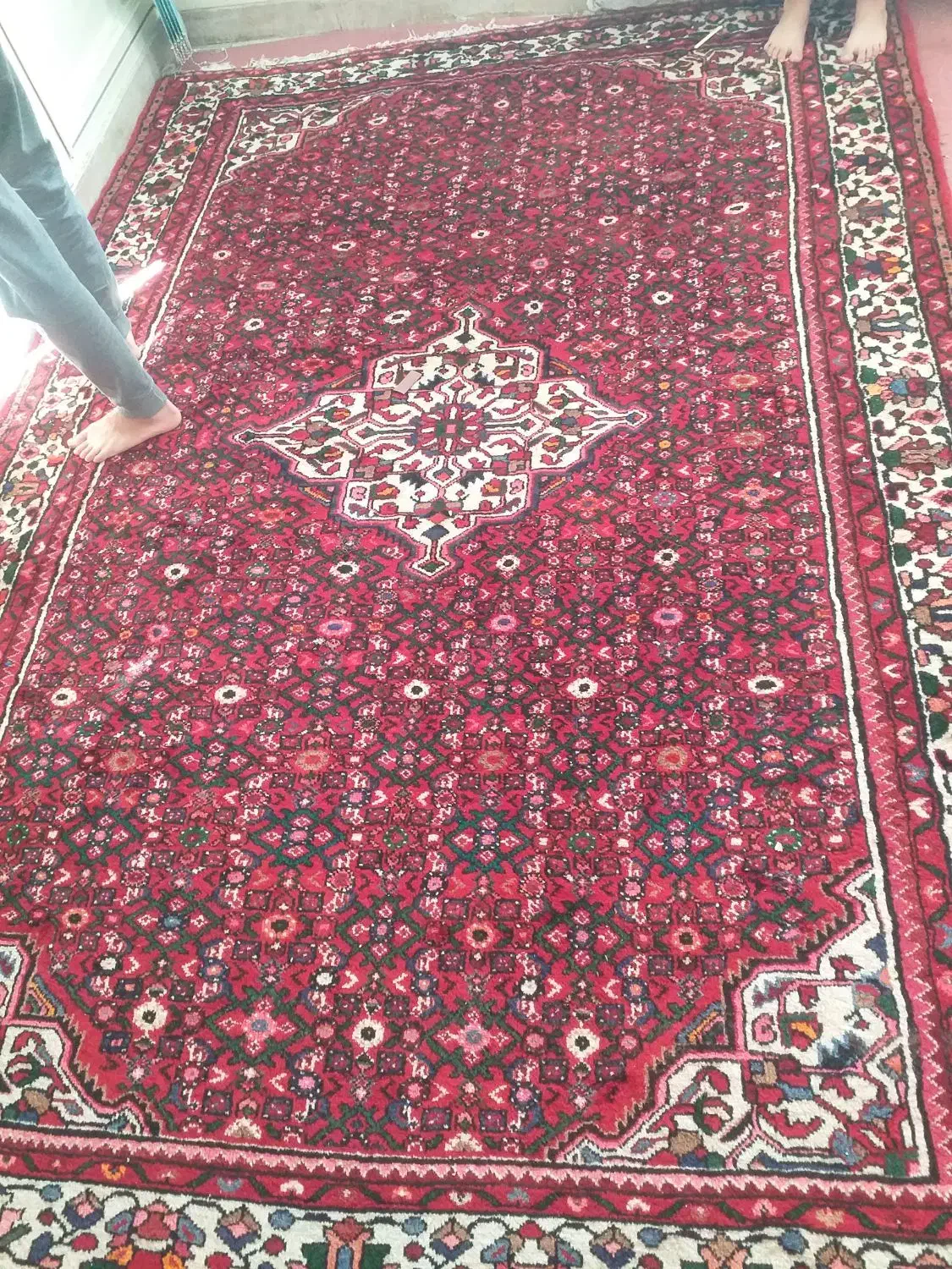 فرش دستبافت|فرش|همدان, |دیوار