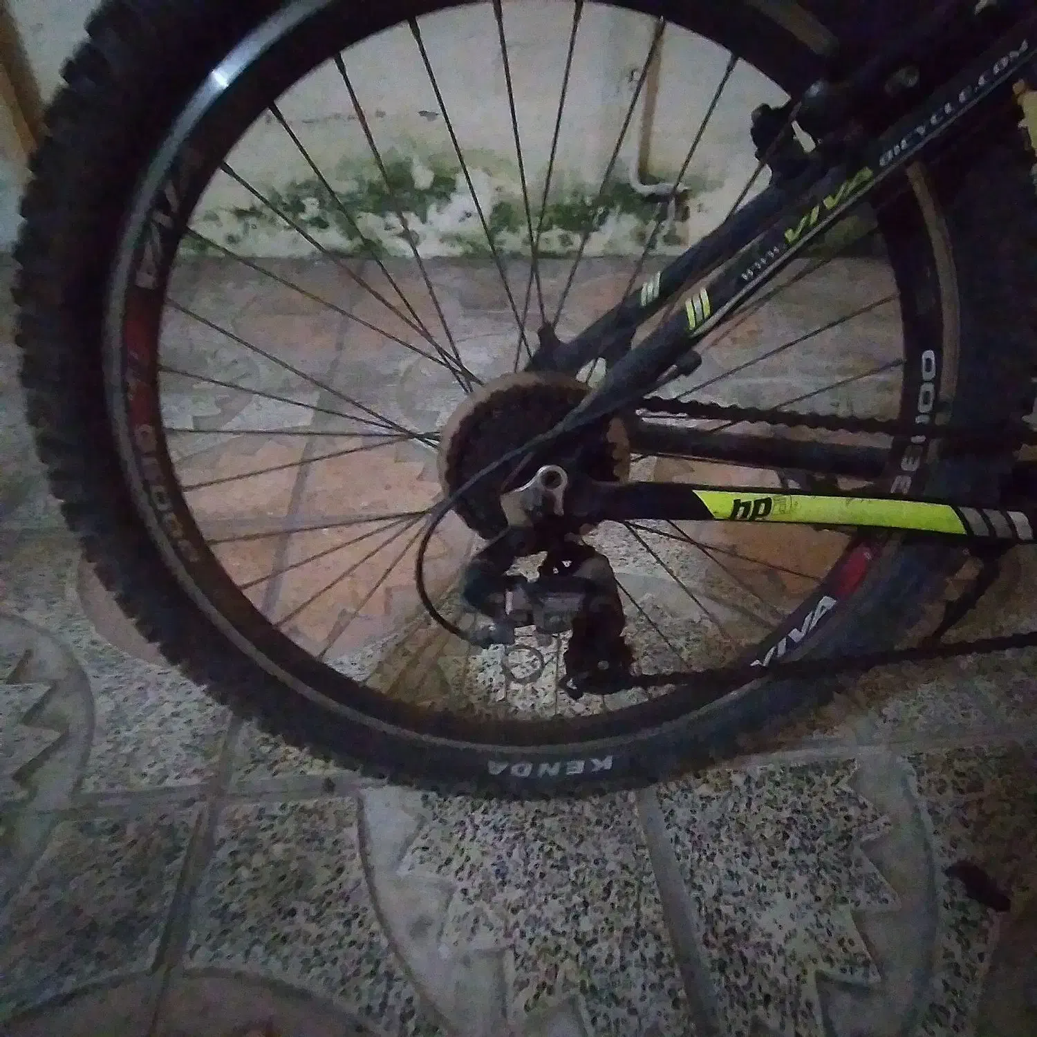 دوچرخه viva|دوچرخه، اسکیت، اسکوتر|بندر انزلی, باغ زمانی|دیوار