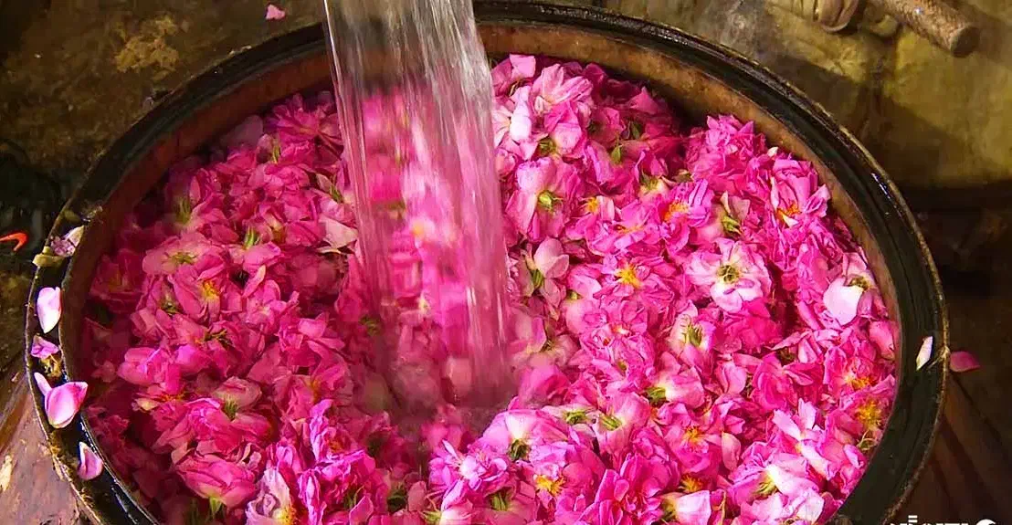 گلاب ناب کاشان|خوردنی و آشامیدنی|رشت, آب آسیاب|دیوار