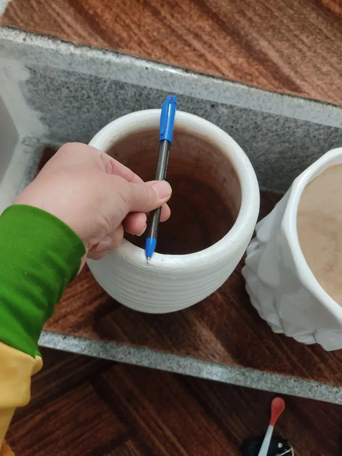 گلدان|گل و گیاه طبیعی|مشهد, سمزقند|دیوار