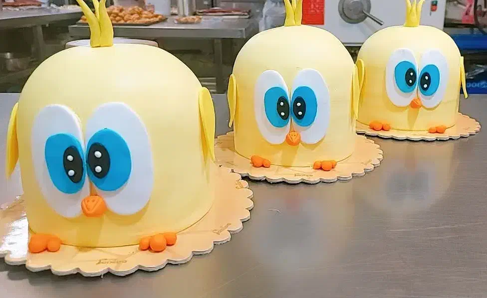 انواع کیک عقد و تولد|خدمات پذیرایی، مراسم|اصفهان, حسین‌آباد|دیوار